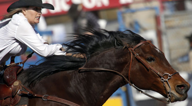 Rodeo infografÃa (LE)